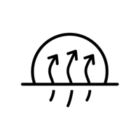 Odor Resistance