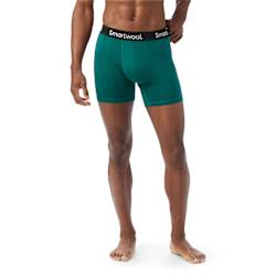 Men's Everyday Merino Boxer Brief Boxed