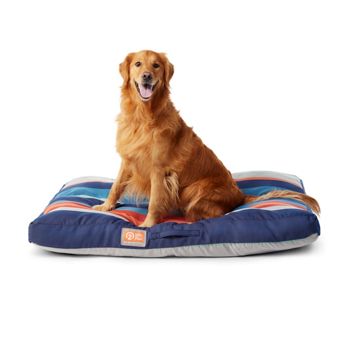 Second hand dog beds top