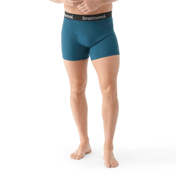 Men s Active Boxer Brief Smartwool US