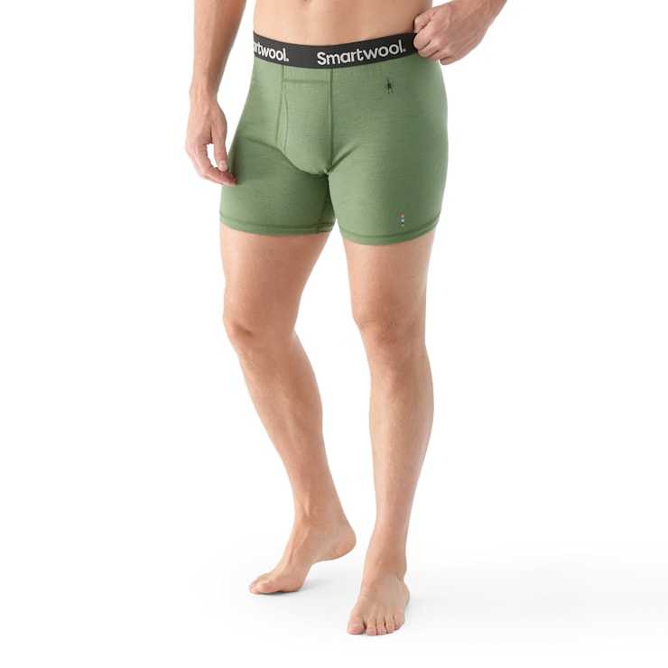 Smartwool 150 boxers discount