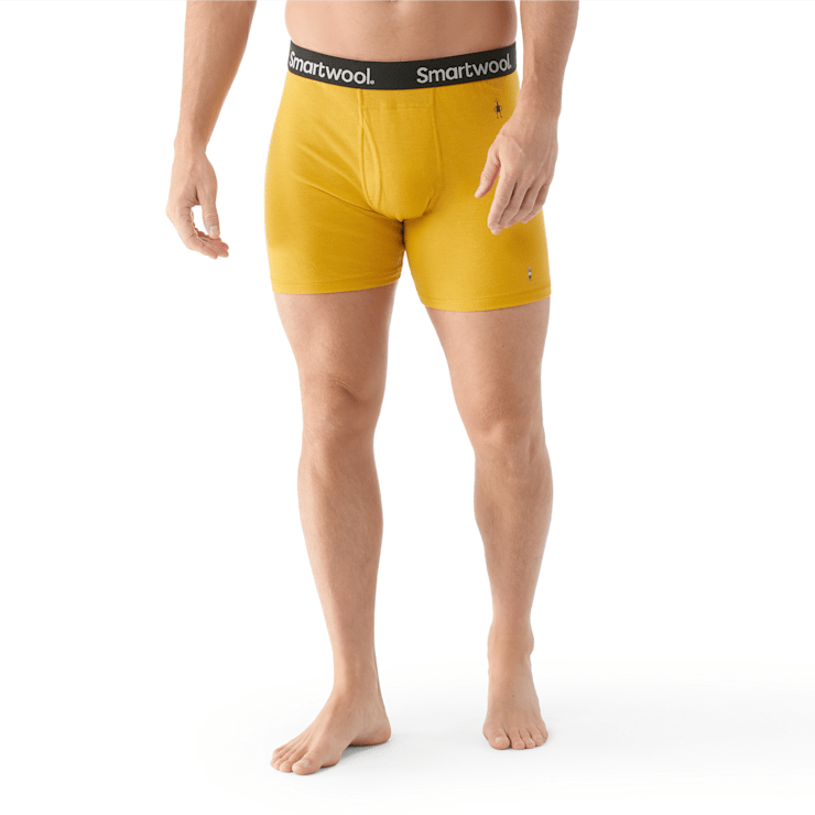Smartwool 150 boxers 2025