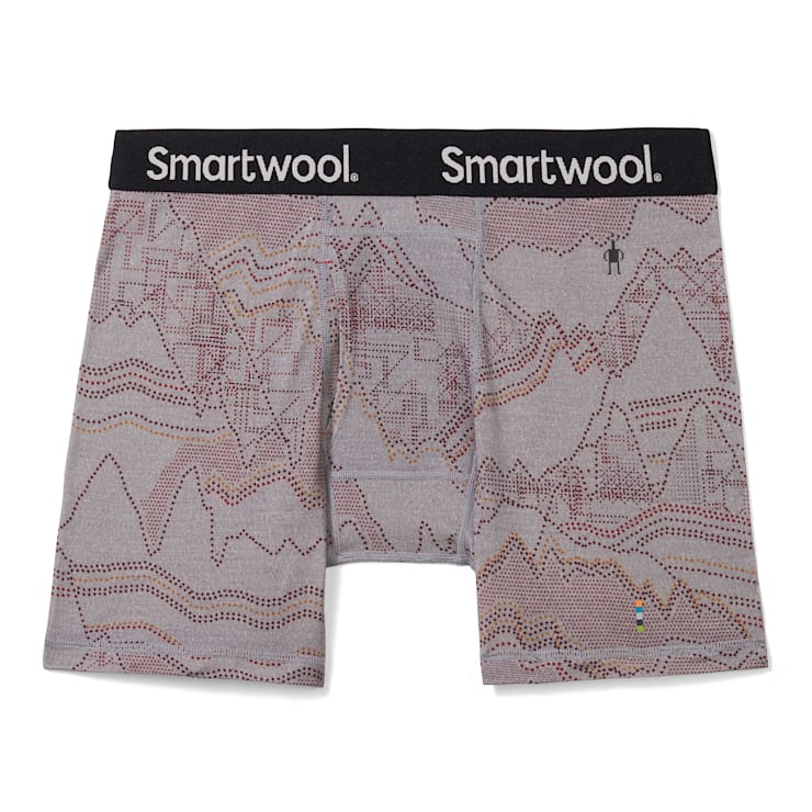 Smartwool merino boxers cheap
