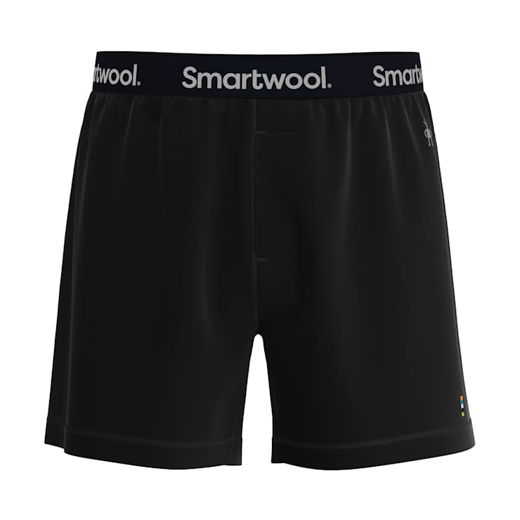 Smartwool men's merino 150 hotsell