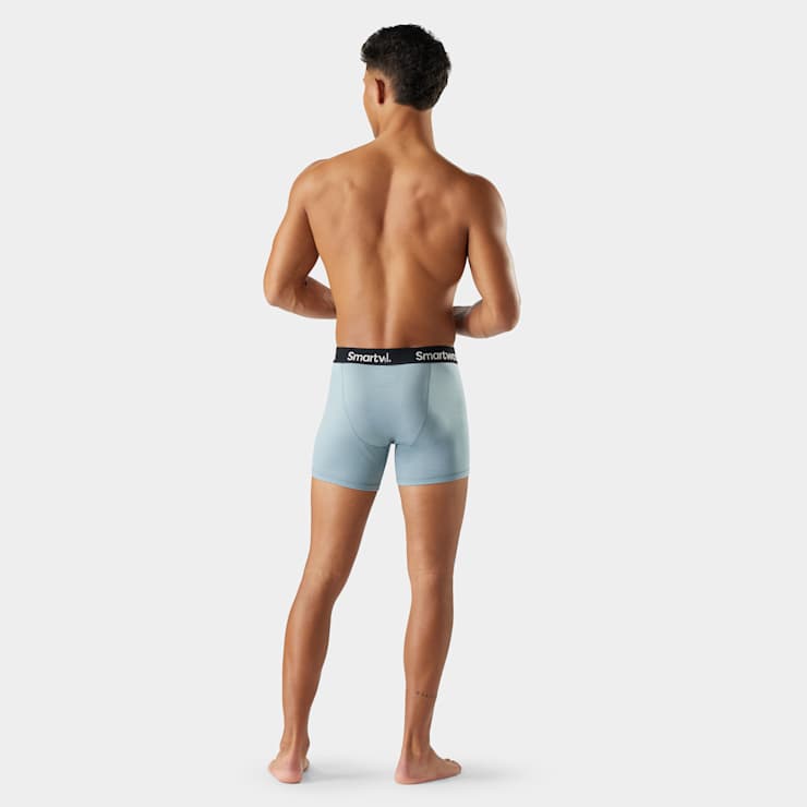 Men's Everyday Merino Boxer Brief image number 2
