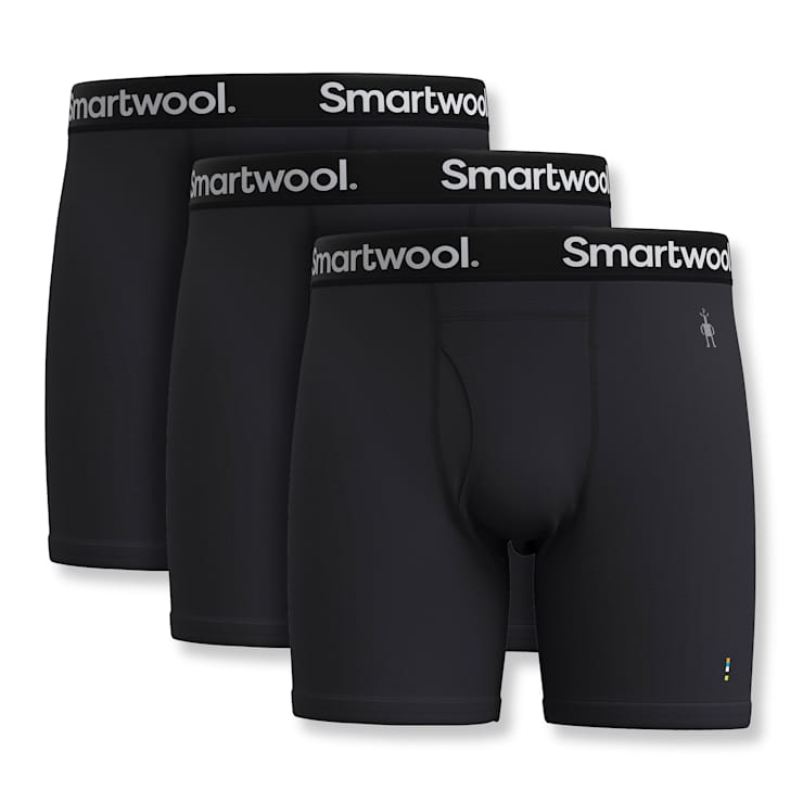Men's Merino Boxer Brief 3-Pack image number 1
